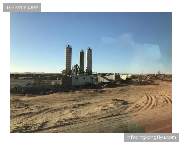 埃及G组赛事全追踪 埃及G组赛事全追踪